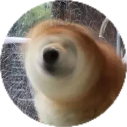 彬红茶日记